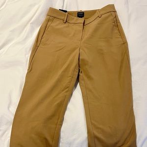JCrew Factory Ruby Pant